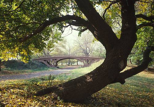 http://commons.wikimedia.org/wiki/Image:Central_Park_New_York_City_New_York_23_cropped.jpg