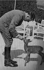 http://en.wikipedia.org/wiki/Image:Hitlerwithdeer.GIF