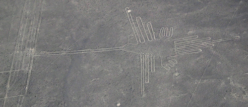 http://commons.wikimedia.org/wiki/Image:Nazca_colibri.jpg