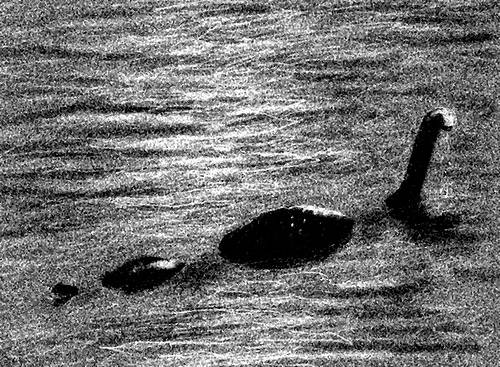 http://commons.wikimedia.org/wiki/Image:Nessie_ill_artlibre_jn.jpg