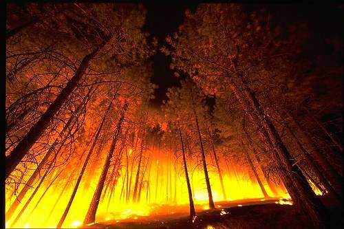 http://commons.wikimedia.org/wiki/Image:Forestfire2.jpg