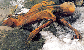 http://en.wikipedia.org/wiki/Image:Otzi.jpg