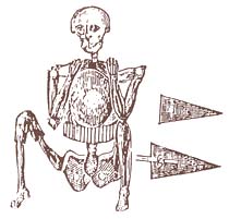 http://commons.wikimedia.org/wiki/File:Skeleton_in_armor.jpg