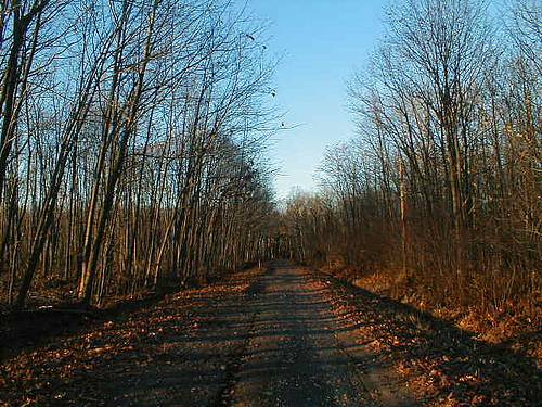 http://commons.wikimedia.org/wiki/File:BoyScoutLane.jpg