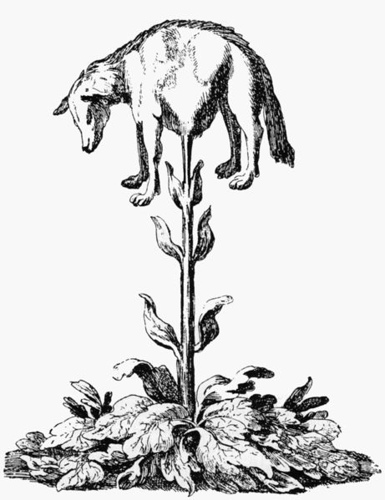 http://commons.wikimedia.org/wiki/File:Vegetable_lamb_(Lee,_1887).jpg