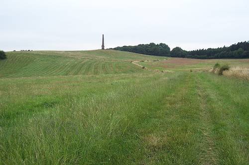 http://en.wikipedia.org/wiki/Image:Wychbury_Hill.jpg