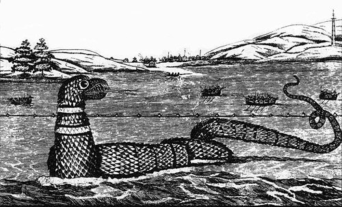 http://commons.wikimedia.org/wiki/Image:1817_Gloucester_sea_serpent.jpg