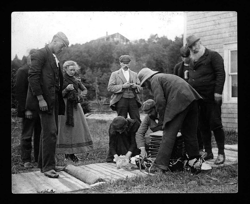 http://commons.wikimedia.org/wiki/Image:Alexander_Graham_Bell_Family_Papers-Daisy_trying_to_resuscitate_drowned_lamb.jpg