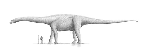 http://commons.wikimedia.org/wiki/File:Bruhathkayosaurus_Steveoc_86.jpg