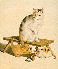 http://commons.wikimedia.org/wiki/File:Gottfried_Mind_Katzen.jpg