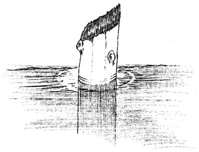 http://en.wikipedia.org/wiki/Image:Sketch_Old_Man_of_the_Lake.jpg