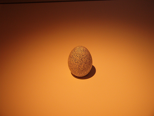 http://commons.wikimedia.org/wiki/Image:Genesis_on_egg.jpg