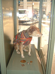 http://en.wikipedia.org/wiki/Image:Owney.jpg