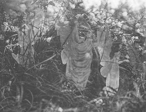 http://en.wikipedia.org/wiki/Image:Cottingley-sunbath.jpg