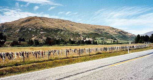 http://commons.wikimedia.org/wiki/File:Cardrona_bra_fence.jpg