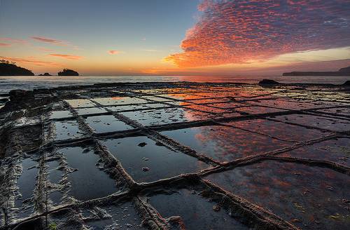 http://commons.wikimedia.org/wiki/File:Tessellated_Pavement_Sunrise_Landscape.jpg