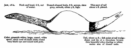 http://books.google.com/books?id=US4UAAAAYAAJ&pg=RA5-PA186&dq=%22monster+turtle+fish%22&as_brr=4&ei=kmXoS5CUCYSuzASOj_HxCQ&cd=1#v=onepage&q=%22monster%20turtle%20fish%22&f=false