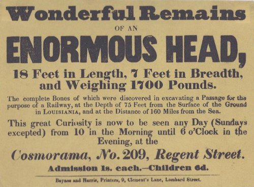 exhibition broadside - enormous head