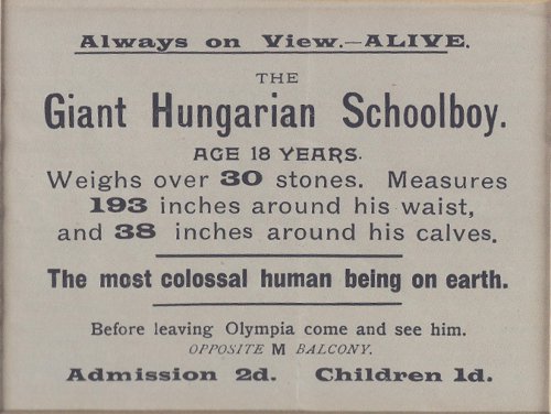 exhibition broadside - hungarian schoolboy