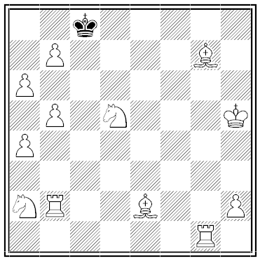 nelson chess maze