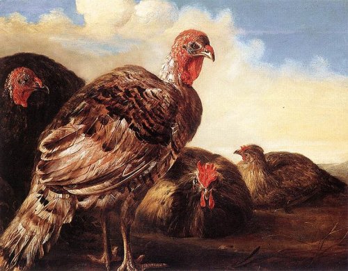 http://commons.wikimedia.org/wiki/File:Aelbert_Cuyp_Domefowl.jpg