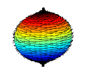 http://commons.wikimedia.org/wiki/File:Hairy_ball.png
