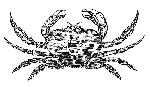http://commons.wikimedia.org/wiki/File:Crab_(PSF).png