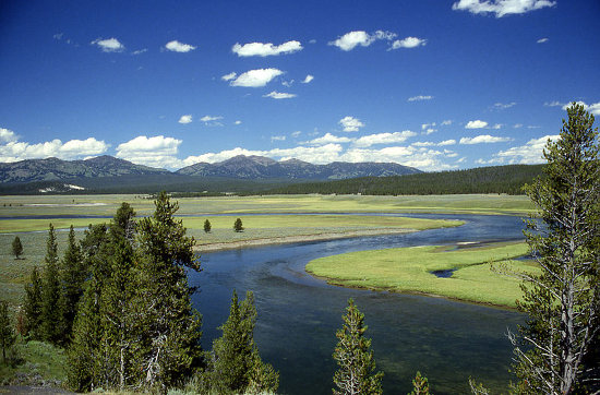 http://commons.wikimedia.org/wiki/File:Yellowstone_River_in_Hayden_Valley.jpg
