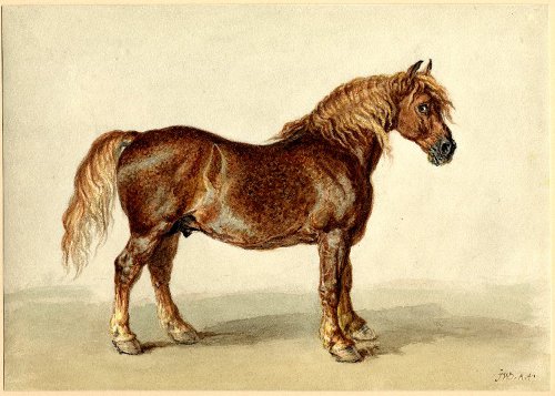http://commons.wikimedia.org/wiki/File:A_Cart-horse_by_James_Ward_watercolour.jpg