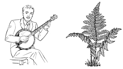 http://commons.wikimedia.org/wiki/File:Banjo_(PSF).jpg