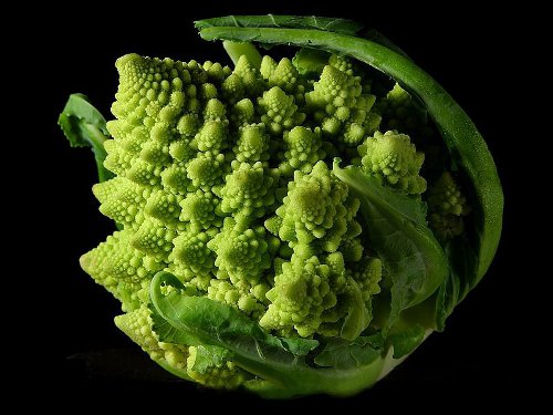 http://en.wikipedia.org/wiki/File:Fractal_Broccoli.jpg