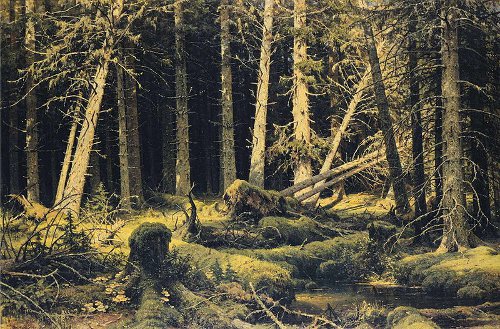 http://commons.wikimedia.org/wiki/File:Ivan_Shishkin_-_Wind-Fallen_Trees.JPG