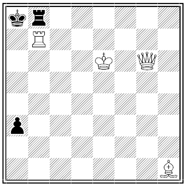 hermanson chess problem