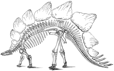 http://commons.wikimedia.org/wiki/File:Stego-marsh-1896-US_geological_survey.png