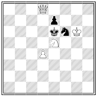 van beek chess problem