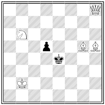 fleischmann chess problem