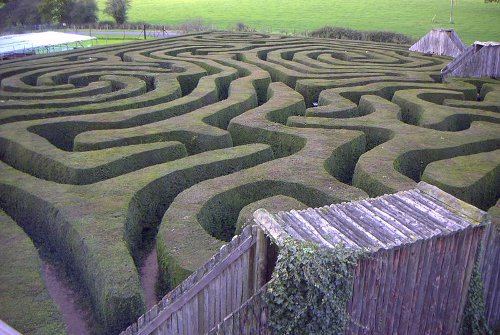 http://commons.wikimedia.org/wiki/File:Longleat_maze.jpg