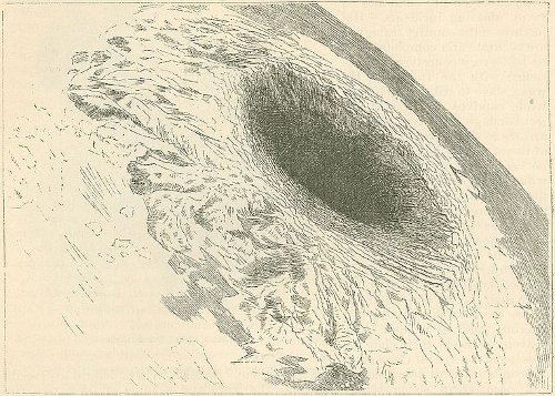 http://commons.wikimedia.org/wiki/File:Symmes_Hole.jpg