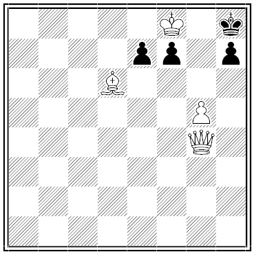 shinkman chess problem