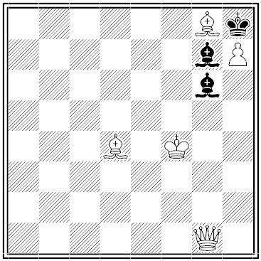 shinkman chess problem