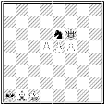 shinkman chess problem