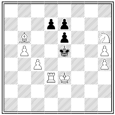 Bachmann chess problem