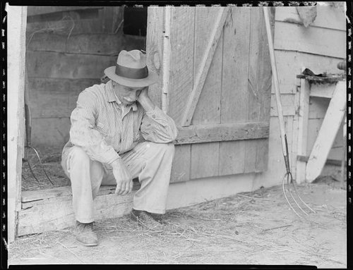 http://commons.wikimedia.org/wiki/File:Farmer_in_despair_over_the_depression_in_1932._-_NARA_-_512819.jpg