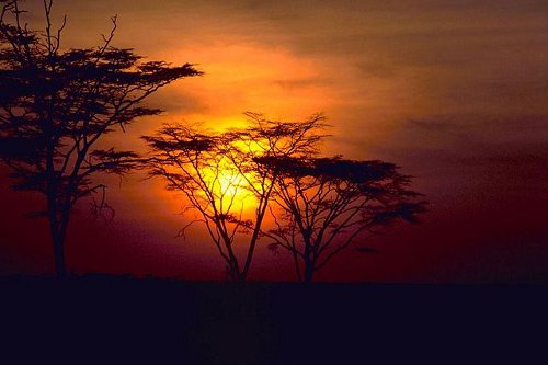 http://commons.wikimedia.org/wiki/File:African_sunset.jpg