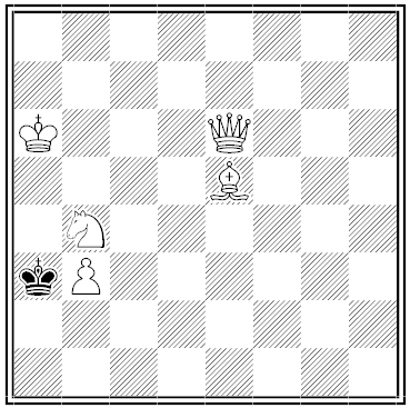 roegner chess problem