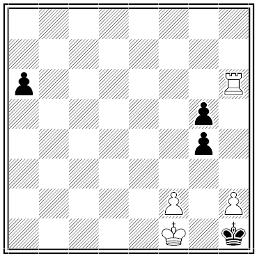 von wardener chess problem