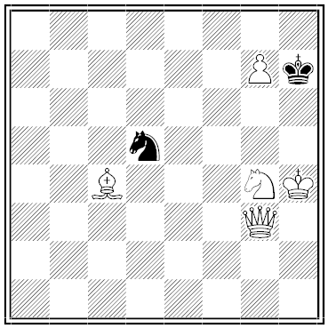 havel chess problem