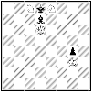 hoeg chess problem