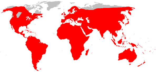 http://commons.wikimedia.org/wiki/File:Brown_rat_distribution.png