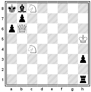 larsen chess problem